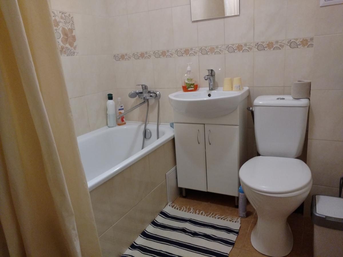 On Knyahyni Ol'hy Street Apartment Rivne